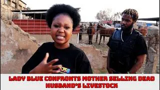 Thumbnail: Street Journal | Lady Blue Confronts Mother Selling Dead Husband's Livestock