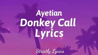 Thumbnail: Ayetian - Donkey Call Lyrics (Hill & Gully Riddim) | Strictly Lyrics