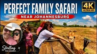 Thumbnail: Perfect Family Safari in South Africa | Giraffes, Lions, Rhinos & Wild Moments Near Johannesburg