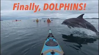 Thumbnail: Phenomenal Kayaking with Dolphins on the West coast of Scotland