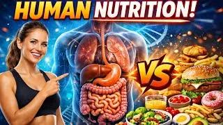 Thumbnail: Your Body After Eating THIS 😱 | Human Nutrition Explained in 2 Minutes