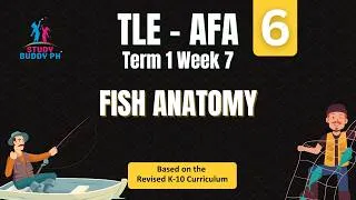 Thumbnail: TLE 6 - AFA, Term 1 Week 7: Fish Anatomy