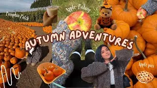 Thumbnail: FALL VLOG 🧸🍂🍎 Pumpkin patch, Taves Farm Vancouver, Apple picking, cozy vibes, baking apple mini pies