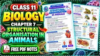 Thumbnail: Class 11 Biology Chapter 7 Structural Organisation in Animals Notes | NCERT PDF Free Notes | CBSE 🔥