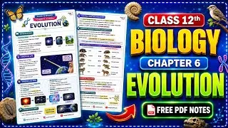 Thumbnail: Class 12 Biology Chapter 6 Evolution Notes | Complete NCERT Notes | FREE PDF 🔥 CBSE Board 