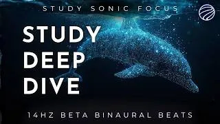 Thumbnail: Study Deep Dive | 14Hz Beta Brainwaves for Focus, Learning & Concentration