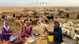Thumbnail: Another Women Morning Routine in the Chulistan Desert | Desert Life in Pakistan | Traditional Food