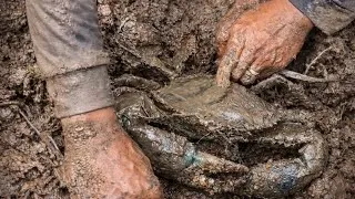 Thumbnail: BẮT CUA KHỔNG LỒ TẠI THÁI LAN #SứaBéoTV