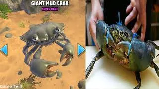 Thumbnail: King of Crabs IN REAL LIFE
