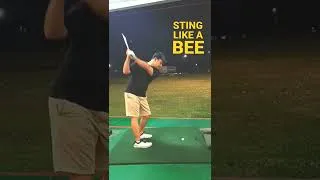 Thumbnail: 4th iron stinger shot by Desmi #golf #golfindonesia #golfbandung #golfing #golfaddict #shorts