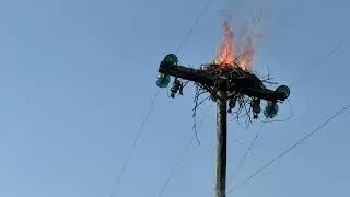 Thumbnail: Osprey nest on fire 