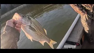 Thumbnail: Percy Priest Fishing Weekend DAY 2