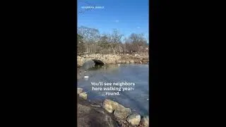 Thumbnail: Old Greenwich, CT | Suburban Jungle