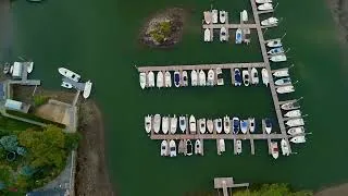 Thumbnail: Living in Greenwich, CT | Suburban Jungle