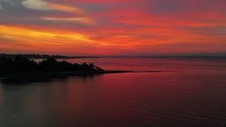 Thumbnail: Living in Westport, CT | Suburban Jungle