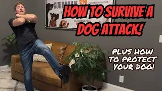 Thumbnail: How to Survive a Dog Attack!