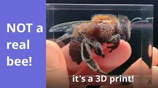 Thumbnail: You Can 3D Print Gaussian Splats Now!