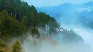 Thumbnail: पुर्ख्यौली गाउँ ति र हलका रमाइलो  baitadi ,Rim sudurpaschim #vlog #music #everone #music #travel 