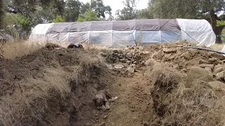 Thumbnail: Regenerating a Small Farm in Andalusia: Novelty and Reality of Building a New Leach Field