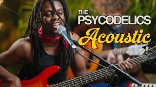 Thumbnail: The Psycodelics - Ladybug | Intimate Live Acoustic Funk Performance