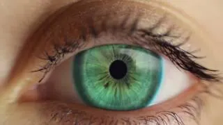 Thumbnail: First State feat. Sarah Howells - Reverie [Music Video] [HD]