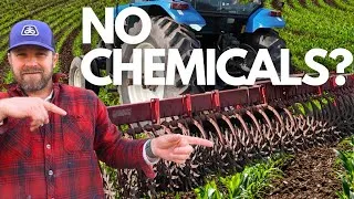 Thumbnail: I'm saying NO to "conventional" farming...but will it work?