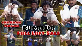 Thumbnail: ALL PIGEONS WITH LOFT CAGE SALE OF BUBAI DA PIGEON LOF AT CHANDANNAGAR -  8101161675