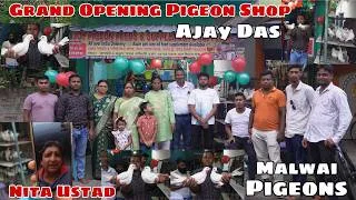 Thumbnail: GRAND OPENING OF THE PIGEON SHOP FOR ALL KOBUTORBAZ AT JANGIPUR - NITA USTAD SEND 50 MALWAI PIGEONS
