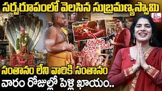 Thumbnail: History Of Mopidevi Subramanya Swamy Temple | Mopidevi Temple History | SumanTV Life