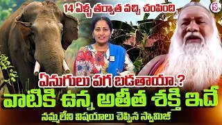 Thumbnail: ఏనుగులు పగబడతాయా.? | Mukkamala Sri Sridhar Swamiji About Elephants Power | SumanTV Nirupama