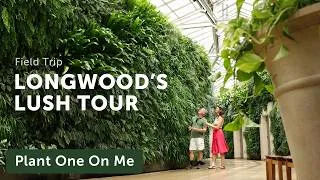 Thumbnail: LONGWOOD GARDEN'S  FOLIAGE Tour is LUSH as Ever! — Ep. 442