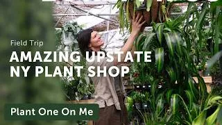 Thumbnail: This 105-Year Old PLANT SHOP & NURSERY Has Everything! — Ep. 441