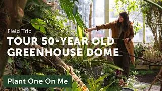 Thumbnail: Tioga Garden's 50-Year Old GREENHOUSE DOME — Ep. 438