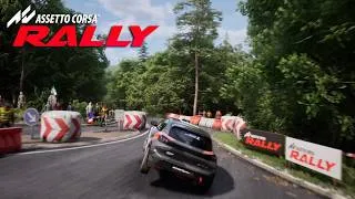 Thumbnail: Peugeot 208 Rally4 | Asseto Corsa Rally Gameplay