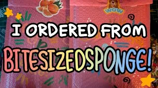 Thumbnail: I ORDERED FROM @bitesizedsponge ! | What’s inside???