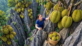 Thumbnail: Harvesting 1,000+ Giant Durians And Selling Them At The Rural Market, Cooking