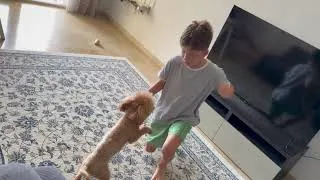 Thumbnail: Paddy Shows Off His Best Tricks! 🐶✨