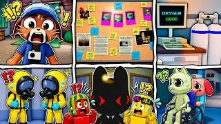 Thumbnail: ANIMAL HOSPITAL new Secret Lore