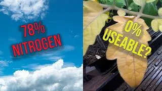 Thumbnail: Your Plants Are SURROUNDED by Nitrogen... So Why Are They Starving?