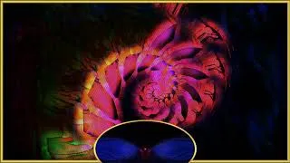 Thumbnail: Breaking The Wall - 2009 - Space Invader - Aliens