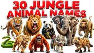 Thumbnail: Jungle Animals for Kids | 30 Jungle Animals Names for Kids 🐯 | Learn Wild Animal Names #wildanimals