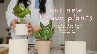 Thumbnail: Unboxing & Styling Our New Ugaoo Plants 🌱 | Cozy Home Vlog
