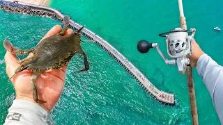 Thumbnail: 72 Hrs Chasing Florida's TOP 3 Trophy Fish..
