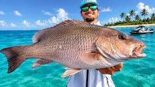 Thumbnail: 72 Hrs to Catch Every Fish in Tampa... (Snook, Redfish, Grouper, Trout, Snapper, Tarpon, Pompano)