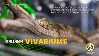 Thumbnail: Creating the Perfect Eurodactylodes vieillardi Enclosure | Bioactive Build