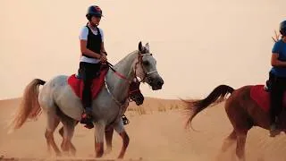 Thumbnail: DUBAI HORSE RIDING - AMAZING VIDEO [by Supek Team Endurance]