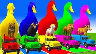 Thumbnail: 5 Giant Duck Cartoon,Cow,Elephant,Tiger,Lion,Dinosaur,Paint Wild Animals Crossing Fountain Animation