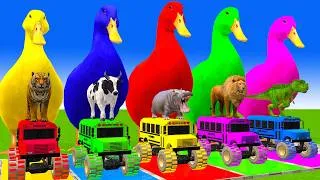 Thumbnail: 5 Giant Duck Cartoon,Cow,Elephant,Tiger,Lion,Dinosaur,Paint Wild Animals Crossing Fountain Animation