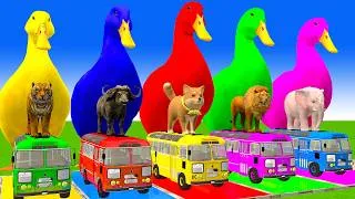 Thumbnail: 5 Giant Duck Cartoon,Cow,Elephant,Tiger,Lion,Dinosaur,Paint Wild Animals Crossing Fountain Animation