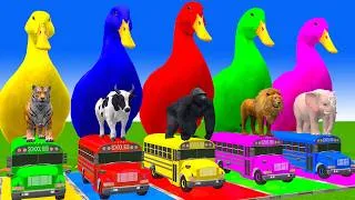 Thumbnail: 5 Giant Duck Cartoon,Cow,Elephant,Tiger,Lion,Dinosaur,Paint Wild Animals Crossing Fountain Animation